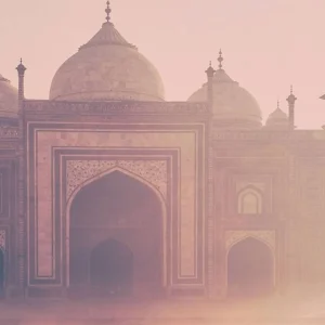 Adopt Bombay Chic^ Woody