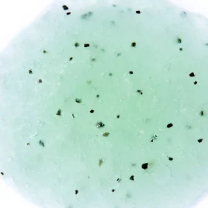 Adopt Coco Lada^ Exfoliating