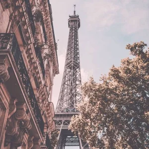 Adopt Paris Reverie^ Floral