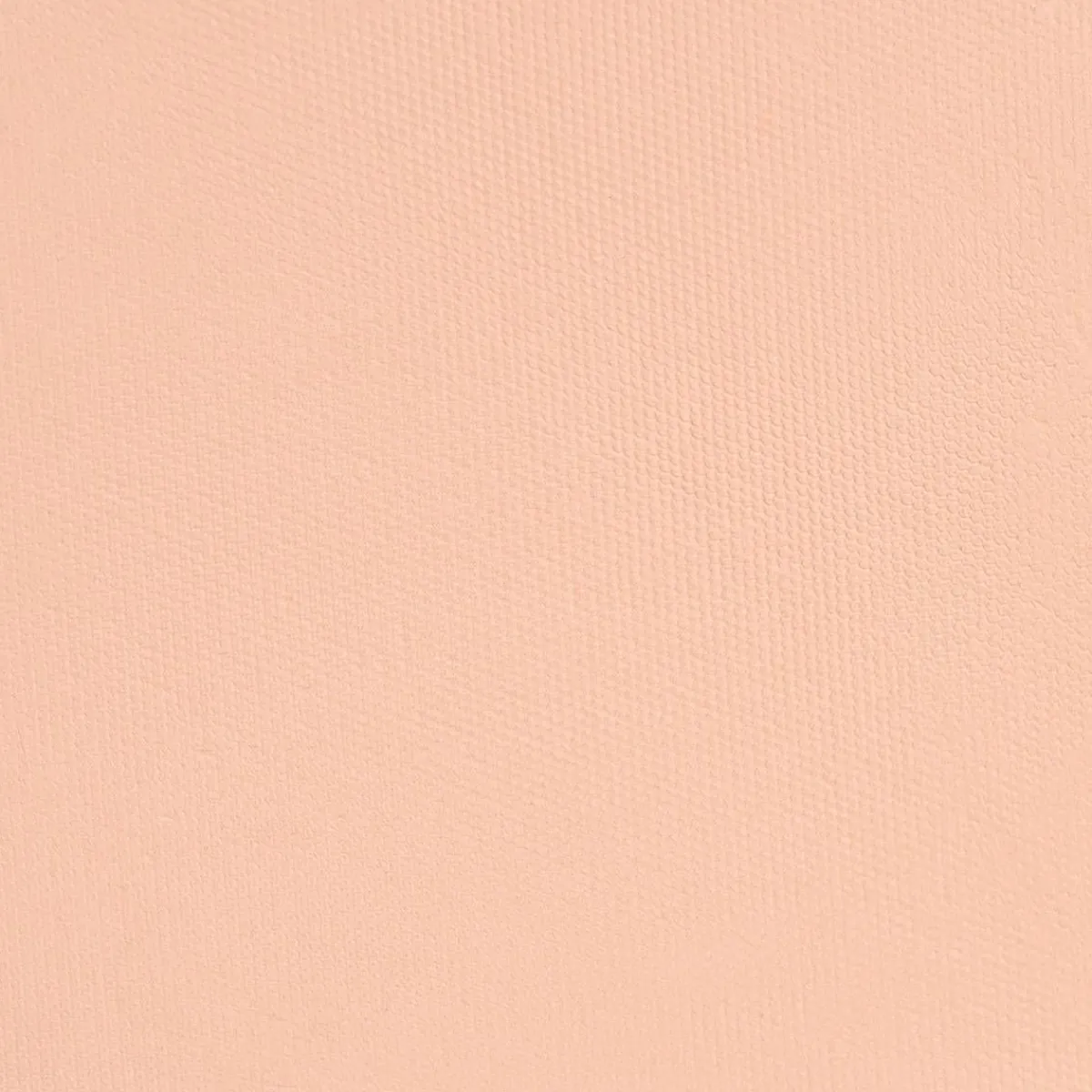 perfect_foundation_1.webp Adopt Perfect Foundation^ Powder