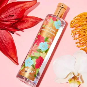 Adopt Quelques Mots D'Amour^ Quelques Mots D'Amour